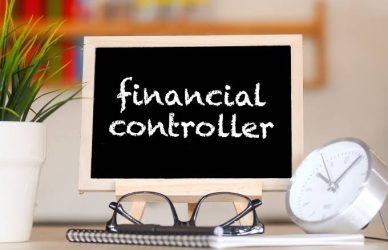 Financial Controller Jobs in Chennai, Tamil Nadu: Salary Overview and Job Description